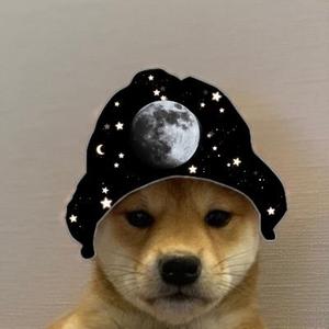 TetrIO profile picture for @bree