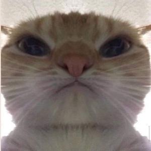 TetrIO profile picture for @lovro