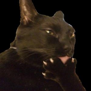 TetrIO profile picture for @tba