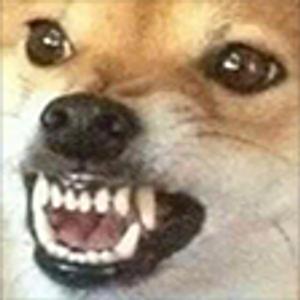 TetrIO profile picture for @choking