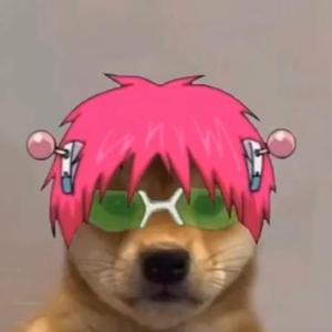 TetrIO profile picture for @leash