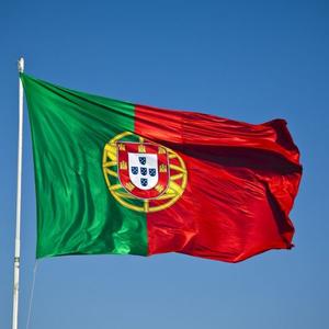 TetrIO profile picture for @portugal