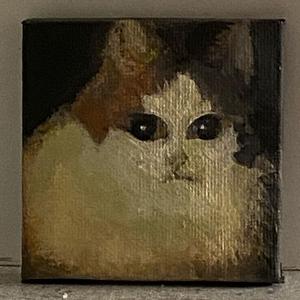 TetrIO profile picture for @kri