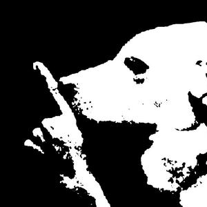 TetrIO profile picture for @hallway