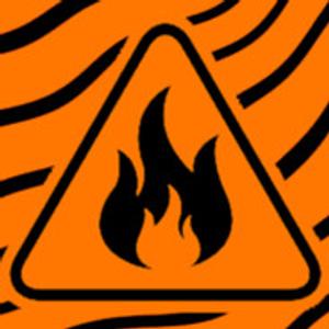 TetrIO profile picture for @flammable