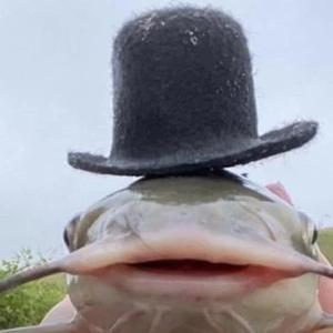 TetrIO profile picture for @fish