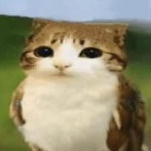 TetrIO profile picture for @bury