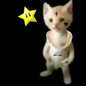 TetrIO profile picture for @disrespectful