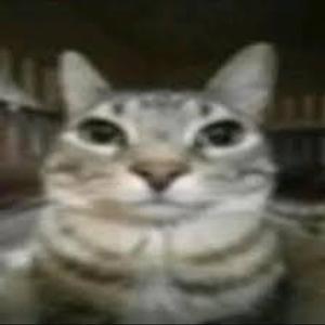 TetrIO profile picture for @portes