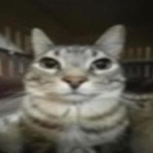 TetrIO profile picture for @bended