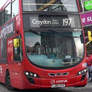 TetrIO profile picture for @croydon