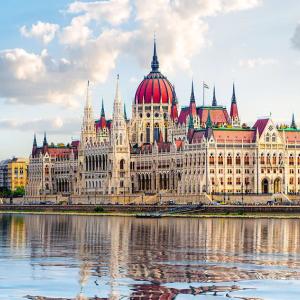 TetrIO profile picture for @budapest