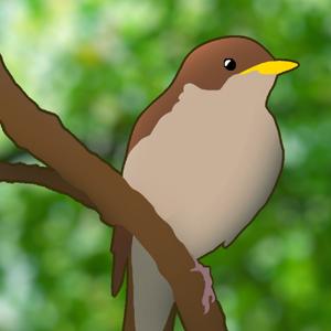 TetrIO profile picture for @nightingale