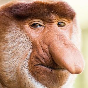 TetrIO profile picture for @geologist
