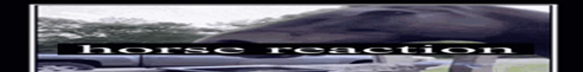 TetrIO banner for @taxicab